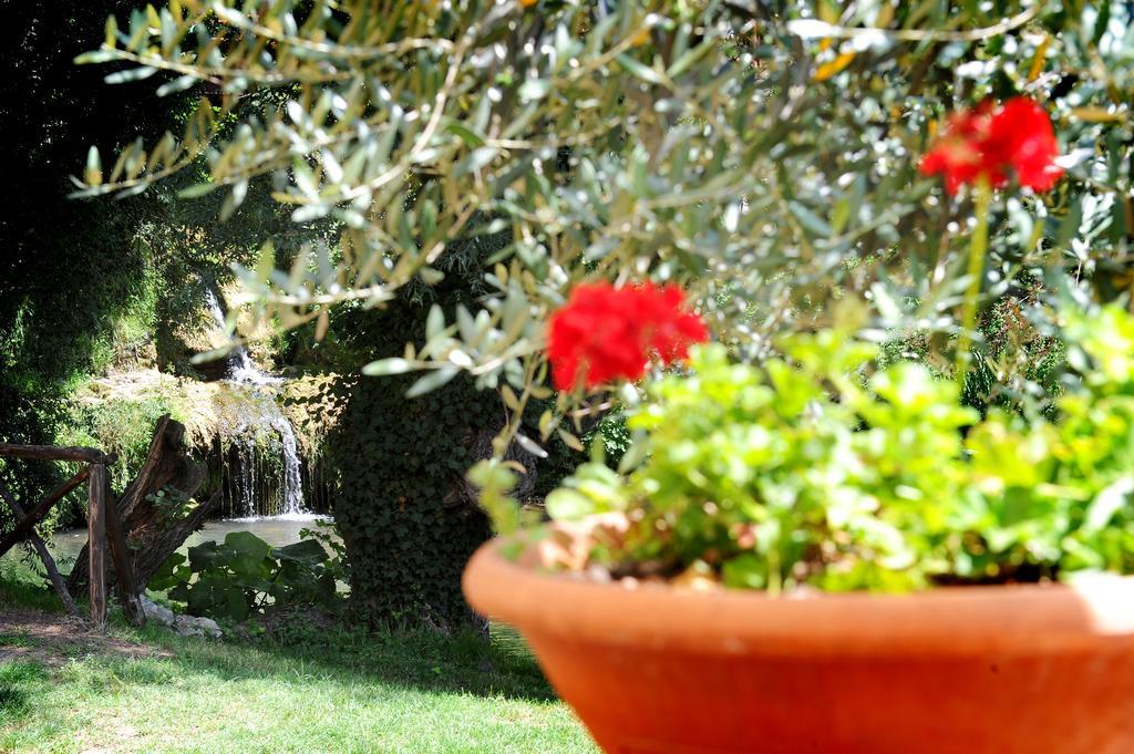 Villa L'Antica Mola à Castel Madama Chambre photo