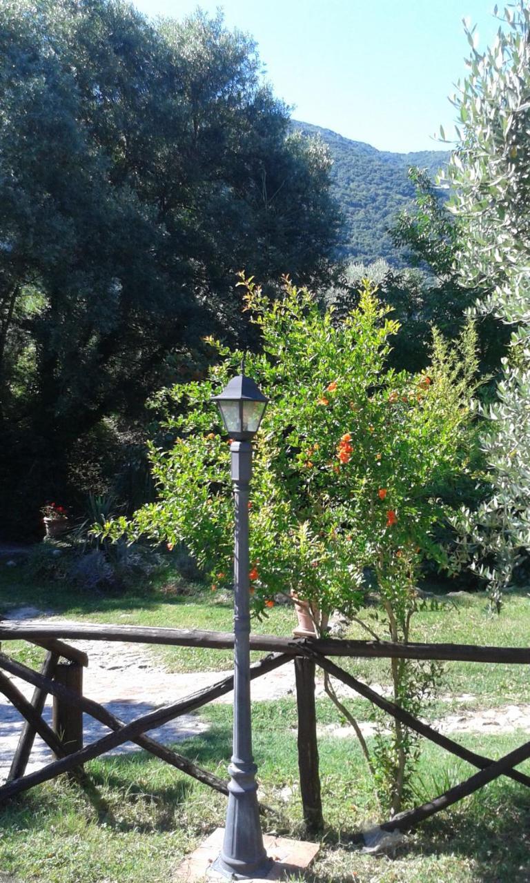 Villa L'Antica Mola à Castel Madama Extérieur photo